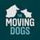 THE MOVING DOGS di Alberto Manzella photo