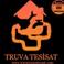 Truva Tesisat photo
