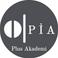 PİA Plus A. photo