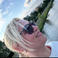 Ebru T. A. photo