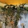 Vicolo in Fiore di Immacolata Leotta photo