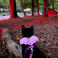 Zübeyde B. picture Zübeyde B. photo