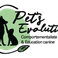 Pet's Evolution photo