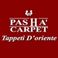 Pasha carpet snc photo