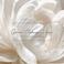 Galeri Makeup B. photo