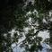Giuseppe S. picture Giuseppe S. photo
