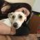 Gizem D. photo