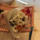 Nur Y. picture Nur Y. photo