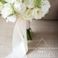 Sintonia flowers & more photo