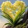 Arzu S. photo