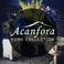 Acanfora Home Collection  photo