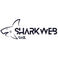 Sharkweb sagl photo