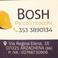 BOSH photo
