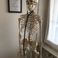Chinesiologo-Massaggiatore-Osteopata photo