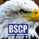 BSCP BARCELONA SEGURIDAD Y CONTROL DE PLAGAS photo