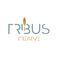 TRIBUS photo