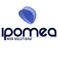 Ipomea Web Solutions photo