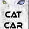 CAT CAR WASH G. photo