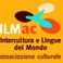 ILMac corsi di lingue straniere con insegnanti madrelingua, traduzione e intrepretariato photo