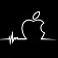 emin S. photo