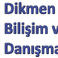 Dikmen Bilişim Ve Danışmanlık photo