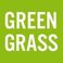 Green Grass photo