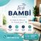 Bambi H. Y. photo