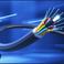 Fiber B. photo