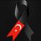 Ahmet A. photo