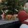 Beyza K. picture Beyza K. photo