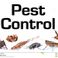 Pest Control And photo