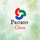 Probio Clean Kft photo