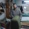 TURGUT D. picture TURGUT D. photo