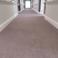 Carpets and Clea photo