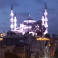 Ebubekir P. photo
