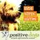 Positive Dogs Evde Köpek Eğitimi photo