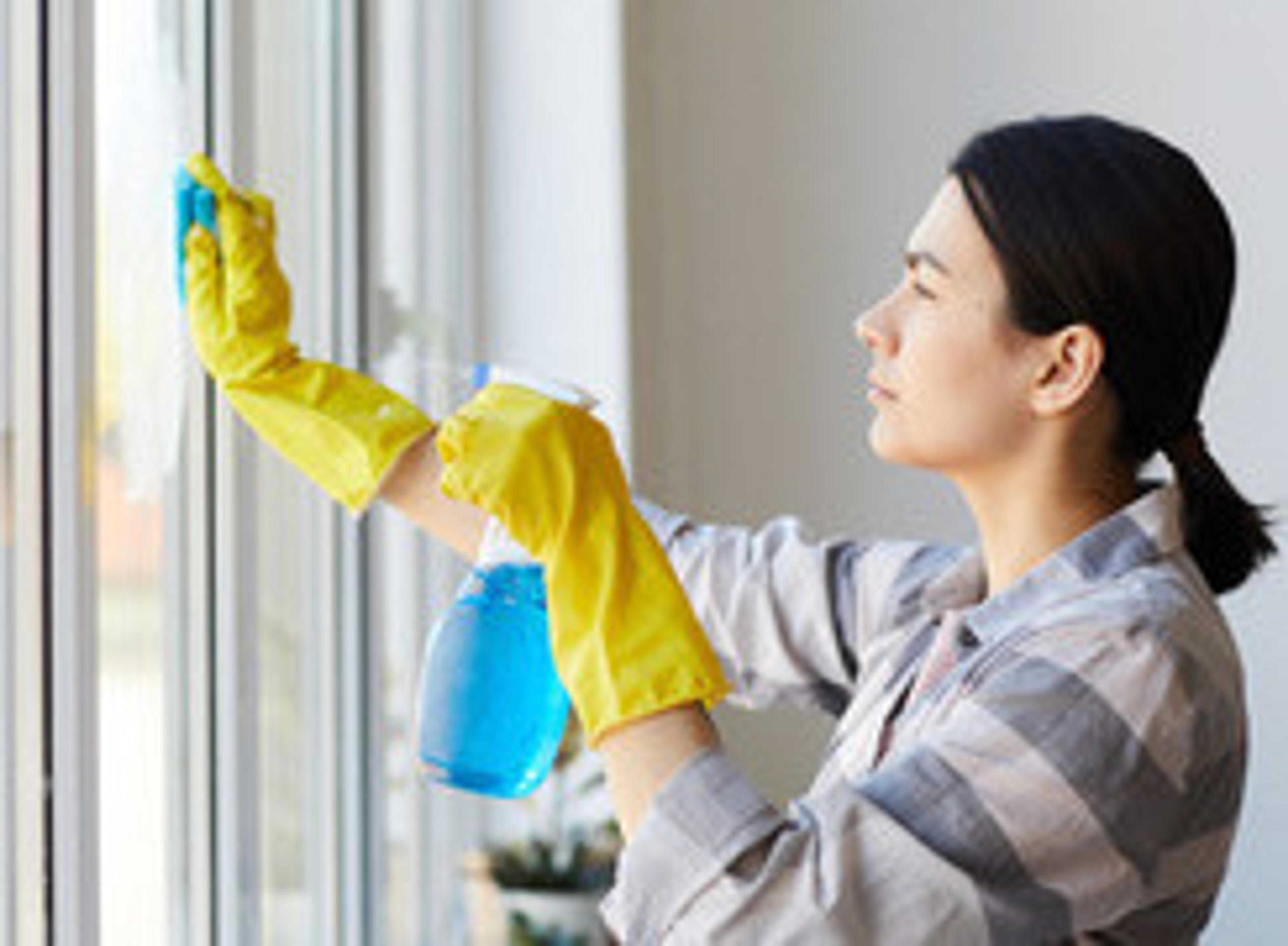 597 Hausreiniger sind bereit für dich.