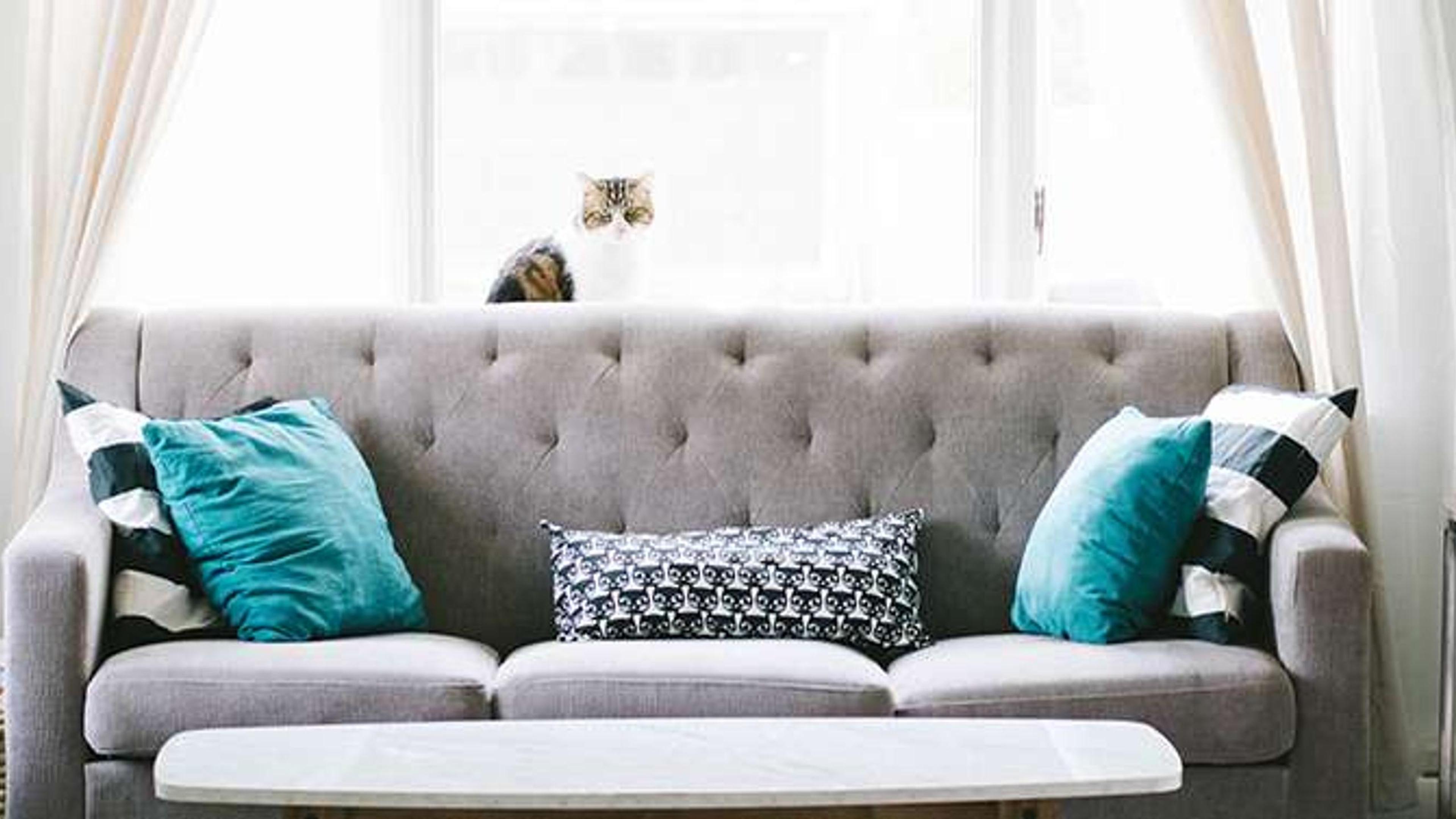 1995 Interior Designer pronti per te.