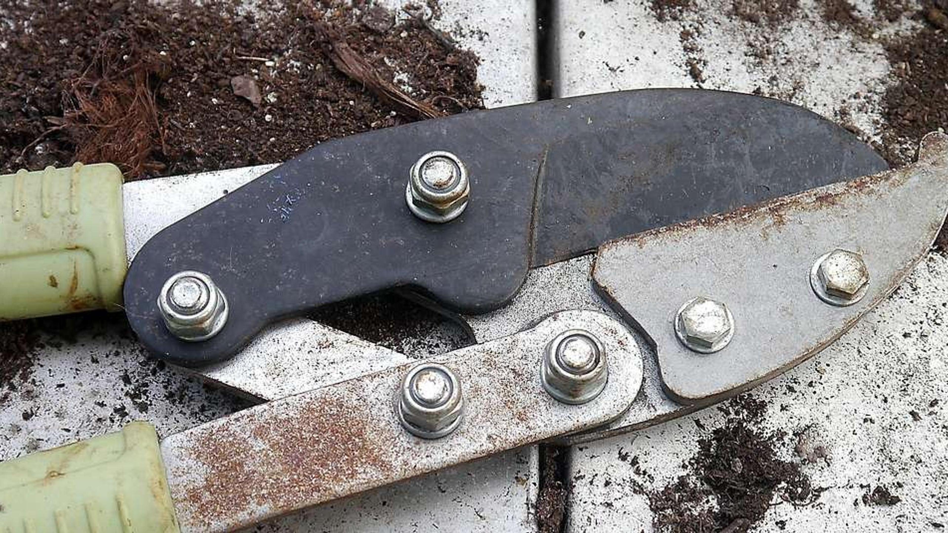 4883 Potatori pronti per te.