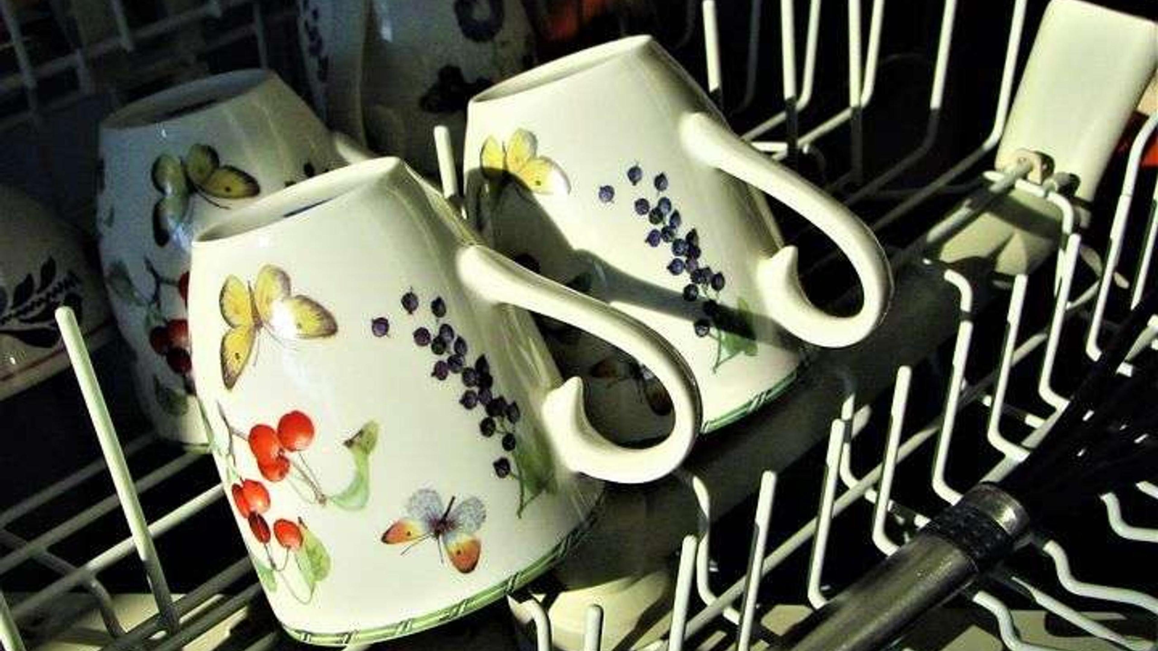 1137 Riparatori Lavastoviglie pronti per te.