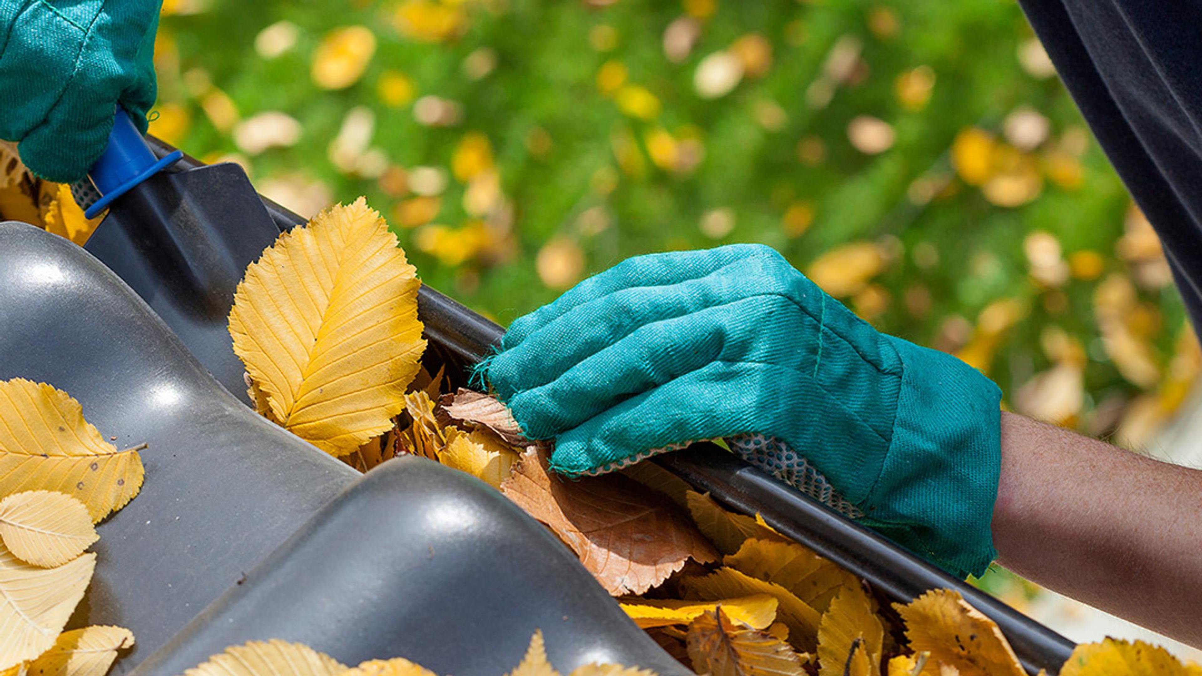 1017 Ditte Sostituzione Grondaie pronti per te.
