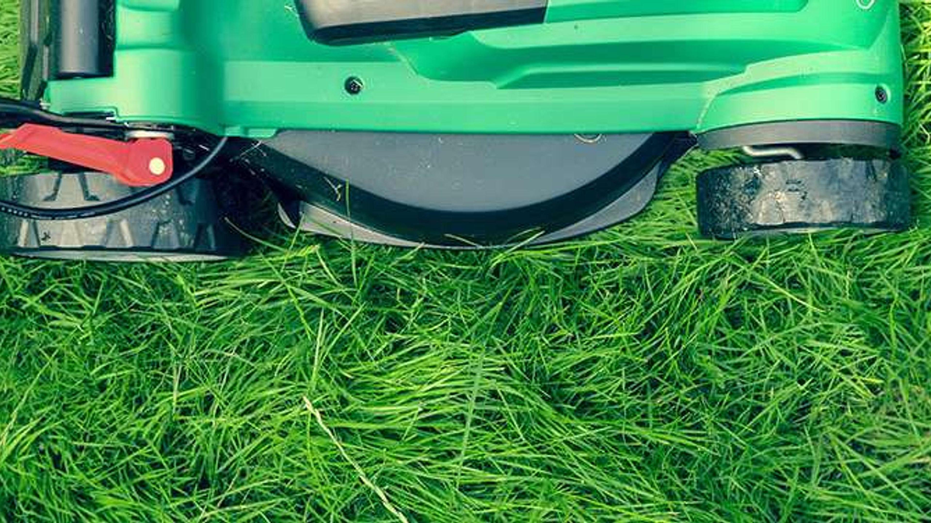 2455 Giardinieri Cura Giardino pronti per te.