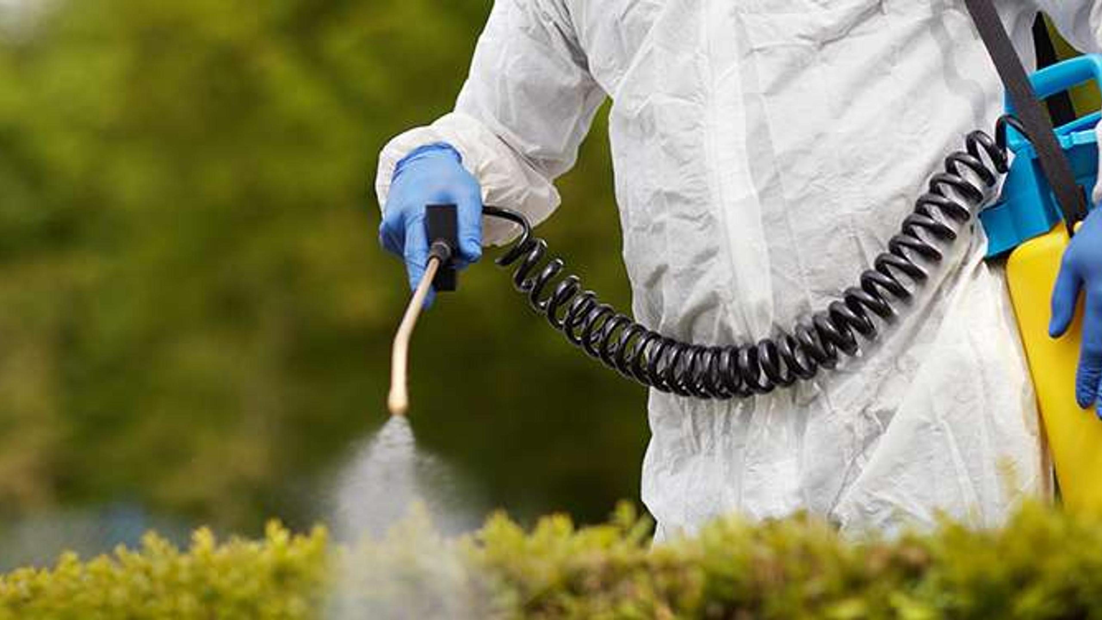 3522 Ditte Disinfestazione pronti per te.