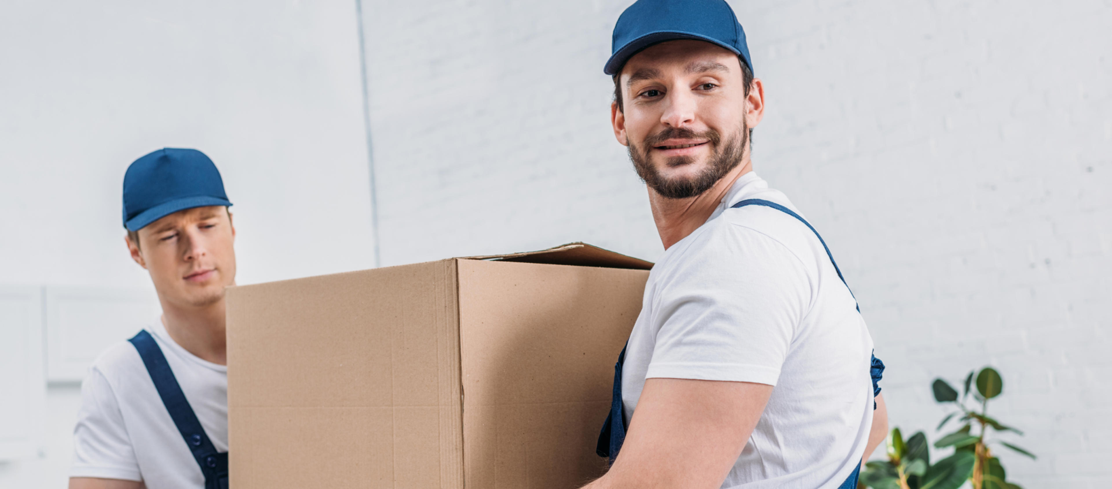 Traslochi in Italia: l’analisi completa di costi, tendenze e servizi collegati