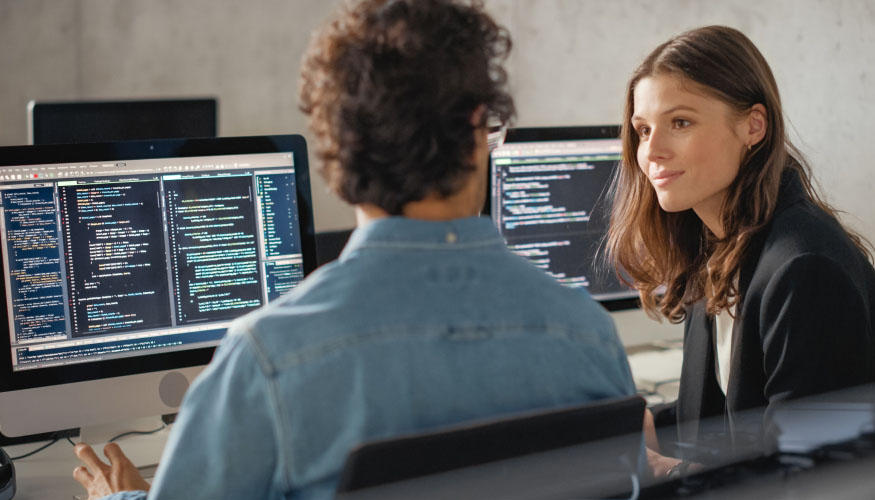 Softwareentwicklung