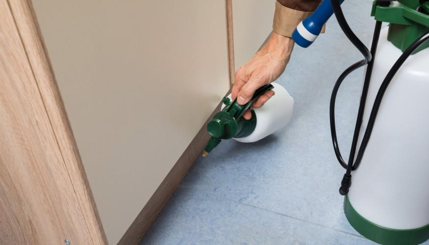 مكافحة القوارض والحشرات