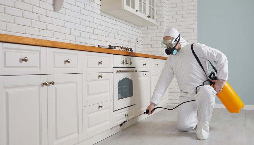 مكافحة الصراصير