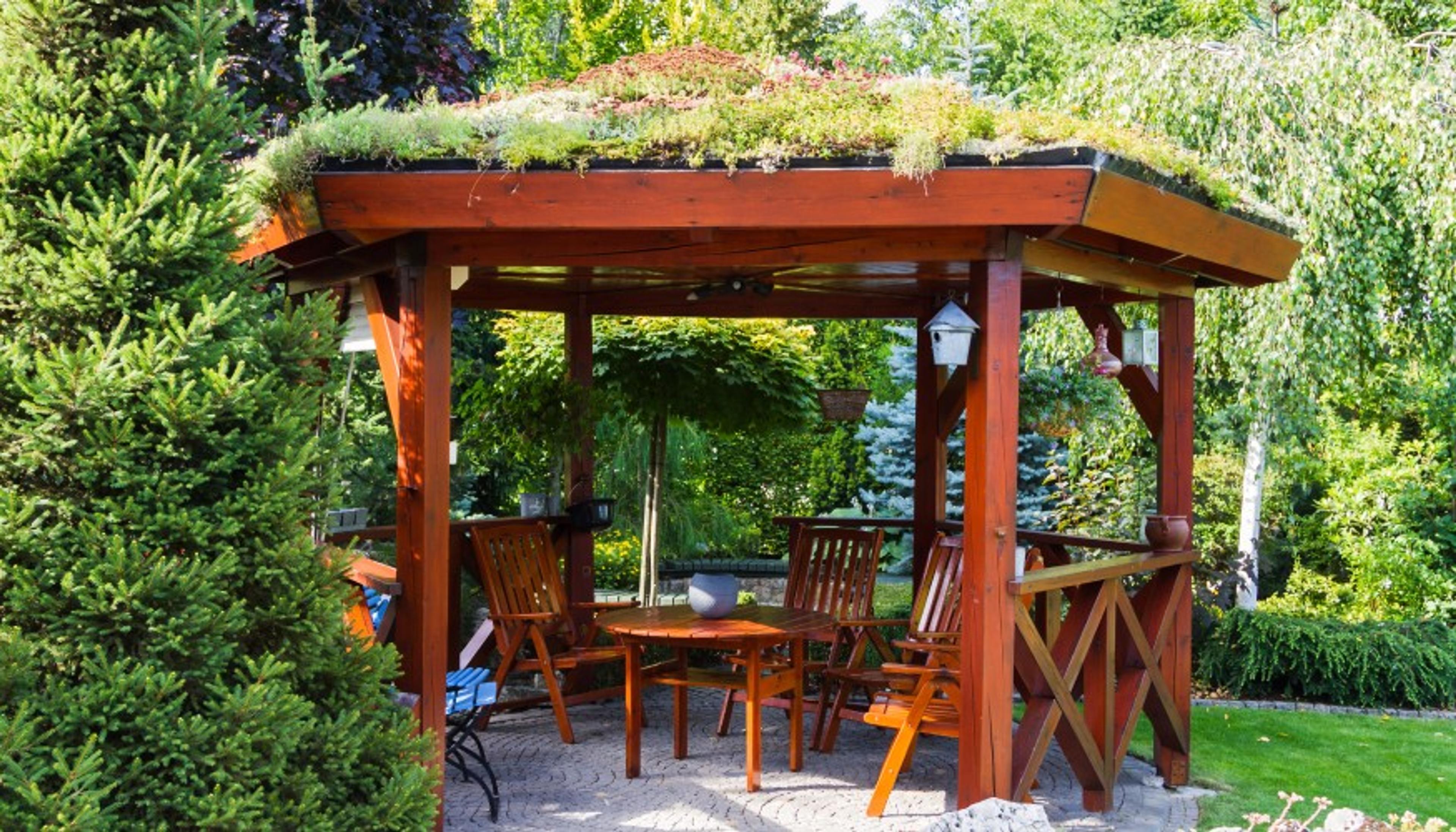 1263 Kamelya Yapan Firma hazır.