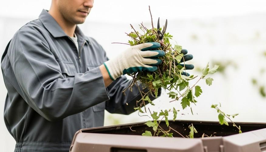 Smaltimento Potature