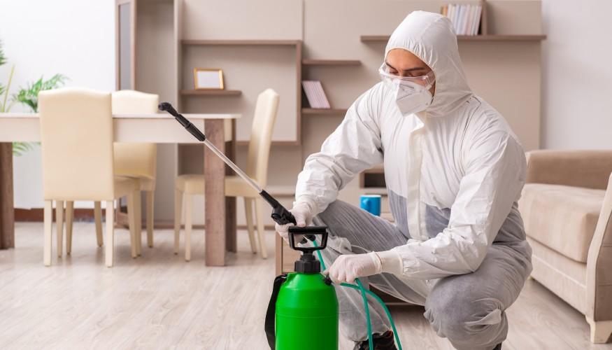 مكافحة فئران